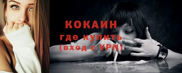 соль ск Белокуриха