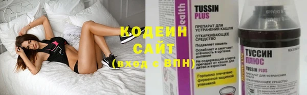 соль ск Белокуриха