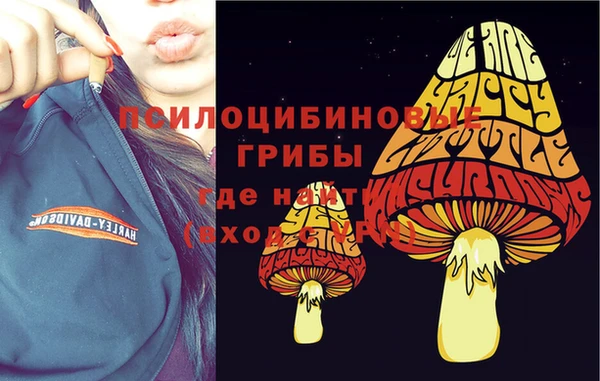 первитин Беломорск