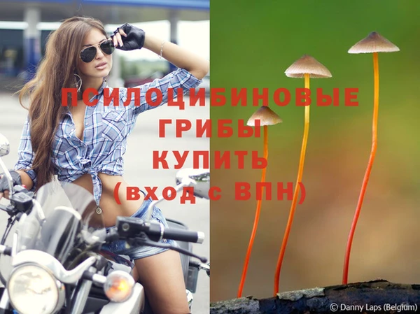 первитин Беломорск