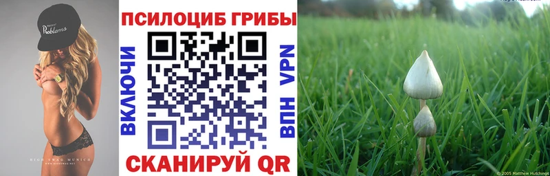 купить наркотики сайты  Краснозаводск  Галлюциногенные грибы Cubensis 